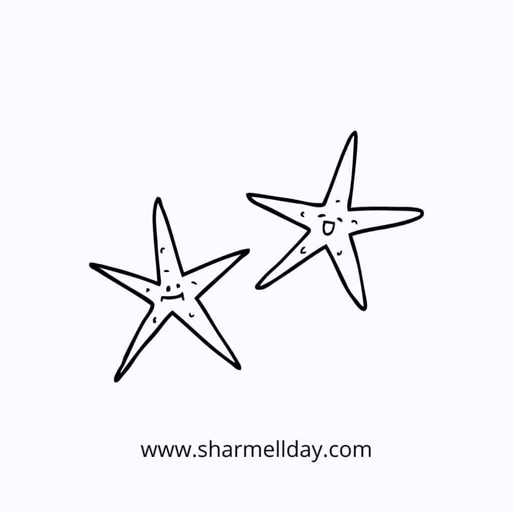 cute easy line drawing of starfish