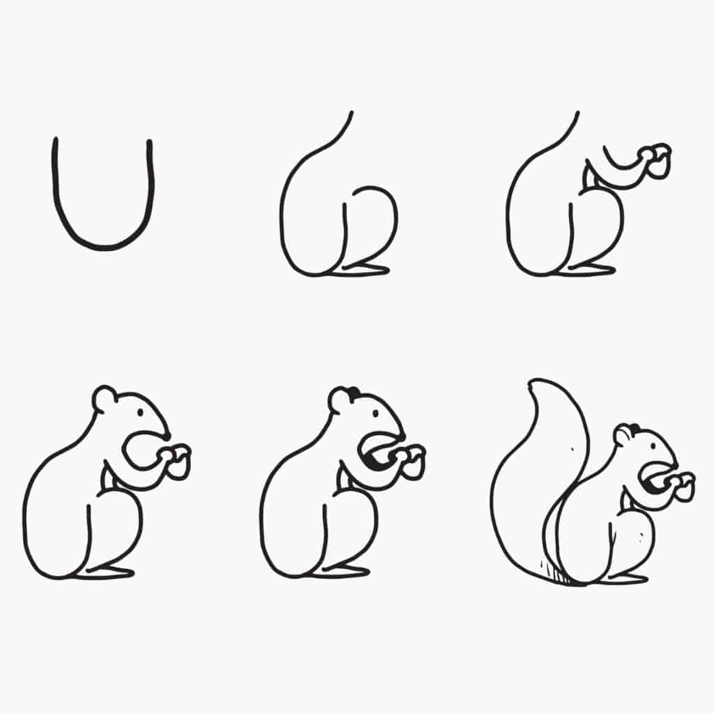 How to Draw a Squirrel