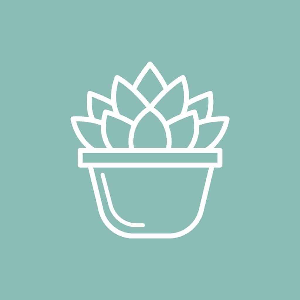 Succulent Printable Wall Art