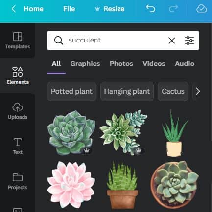 Canva.com succulent elements